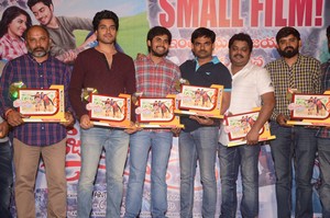 Rojulu Marayi Movie Success Meet
